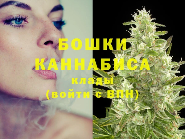 стаф Баксан