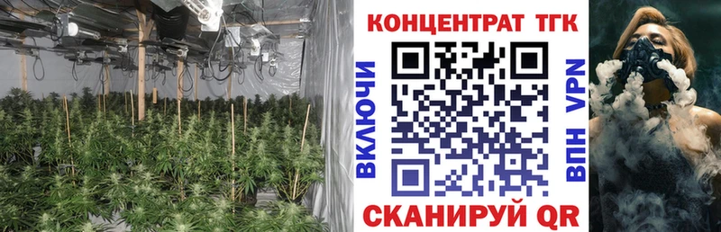 ТГК THC oil  Реутов 
