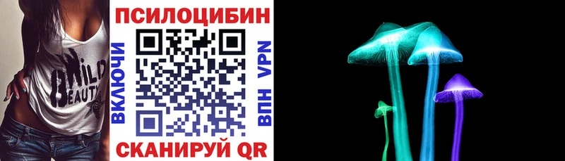 Псилоцибиновые грибы Cubensis  купить закладку  Реутов 