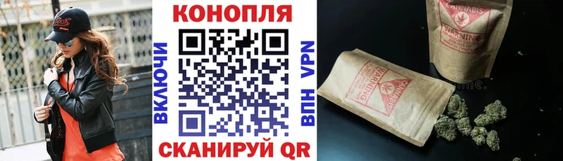 купить закладку  Реутов  Марихуана семена 